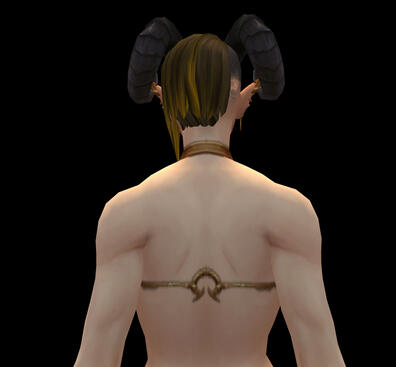 SFW - Back Profile